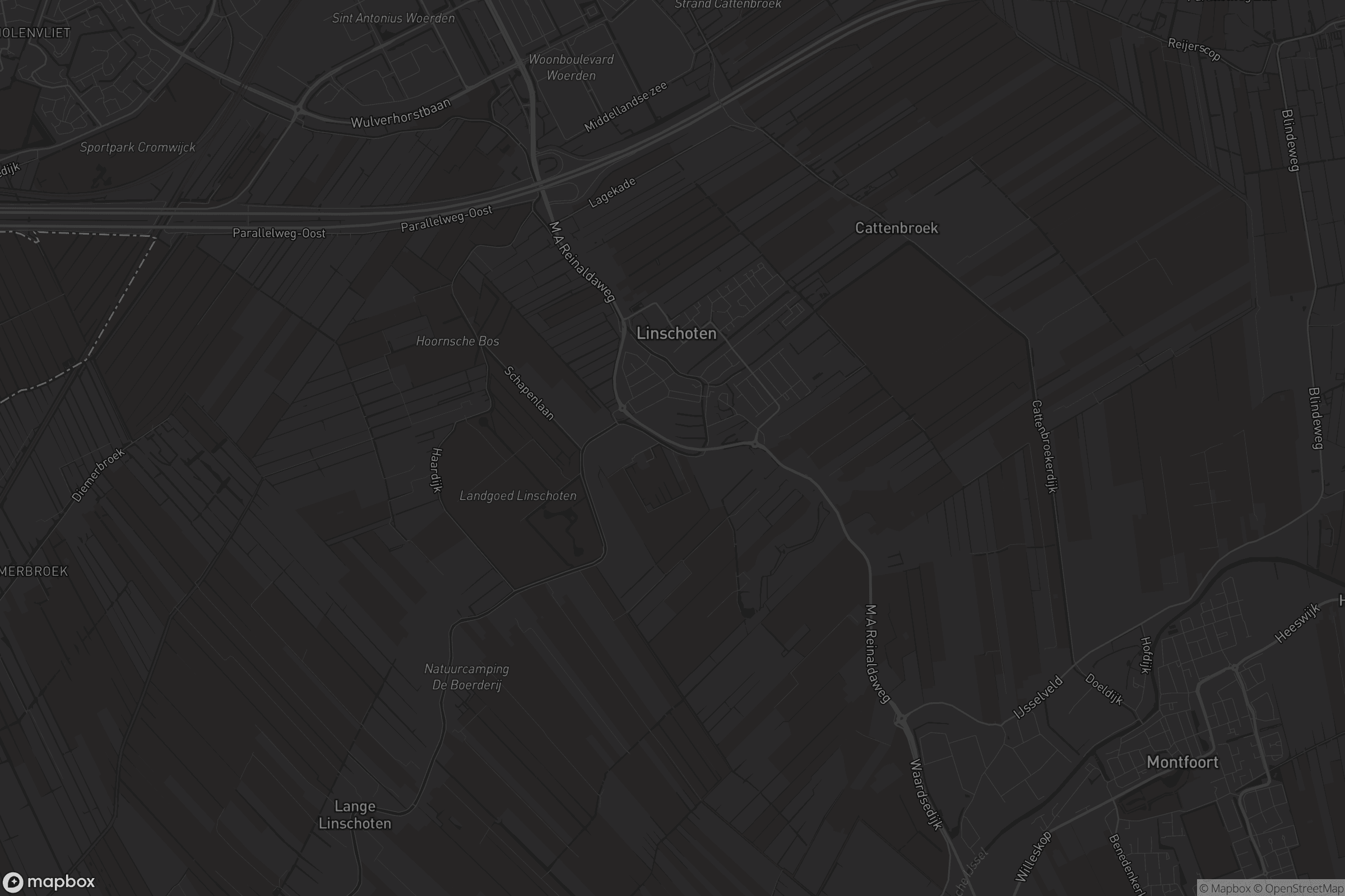 Kaart van Linschoten